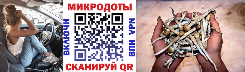 Псилоцибиновые грибы мицелий  ссылка на мегу вход  Таганрог 